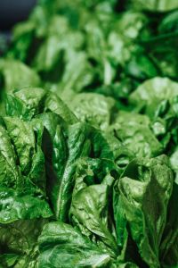 Leafy Greens